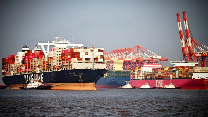 上海港內(nèi)貿(mào)海運(yùn)新年開門紅，一月集裝箱吞吐量超175萬標(biāo)準(zhǔn)箱